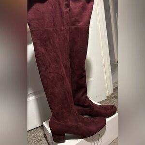 Elegant Burgundy Women's Boots